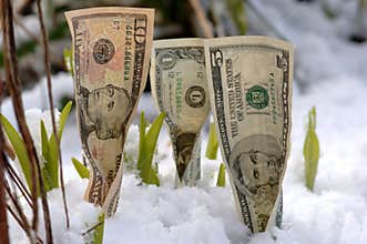Spring Financial Growth