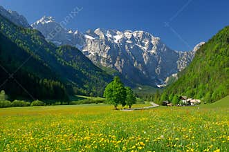 Spring in alpine valley
