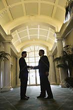 Two businessmen shaking hands.