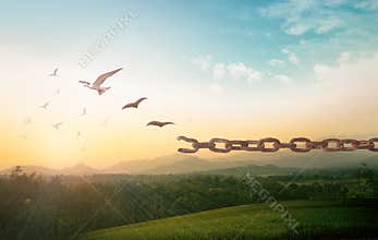 Freedom Concept Metamorphosis of Broken Chains into Birds at Sunset
