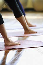 Adult females in yoga class.