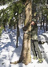 Tree Hugger under Snow-Covered Branches in Forest