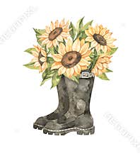 Watercolor Autumn harvest illustration with sunflowers bouquet. Fall flowers in black boots. Botanical garden. Perfect