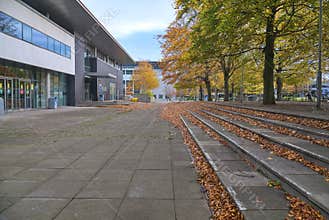 Lots of fallen leaves beside outdoor stairs on campus of University College Dublin