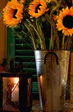 Candle Light Sunflowers