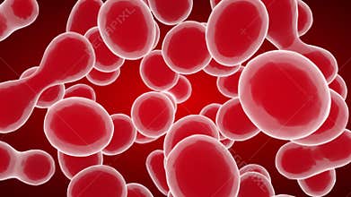 Cellular Division Under Microscope. Mitosis, The Process Of Cell Division And Multiplication. Medical Science