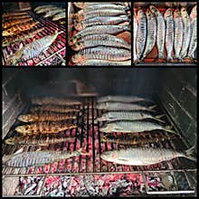 Mackerel fresh fish cooked grill collage barbeque