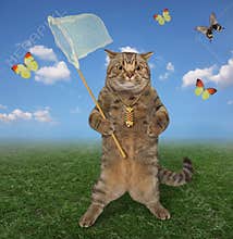 Cat catches butterflies in meadow