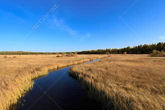 Waterway across the wetland