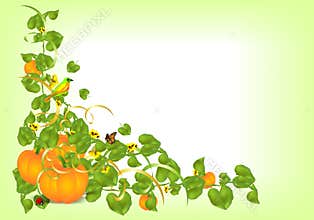 Autumn border, cdr vector