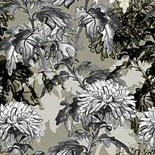 Chrysanthemum flowers, leaves, stems painted by ink in monochrome tones.