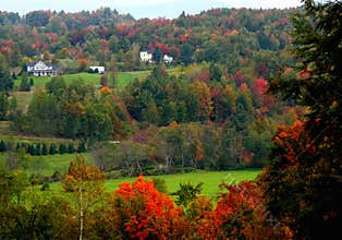 Rural Scene in Fall
