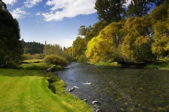 River with Blue Sky and Trees