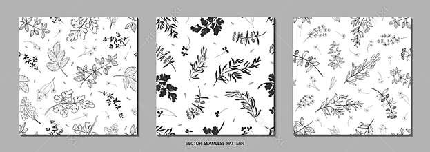 Set of seamless patterns in trendy doodle style. Vector backgrounds  with hand drawn plants and leaves. Abstract natural elements.