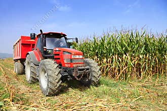 Agriculture, farming tractor