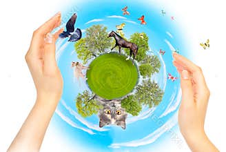 Nature, ecology and different animals protection