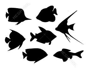 Tropical fish vector