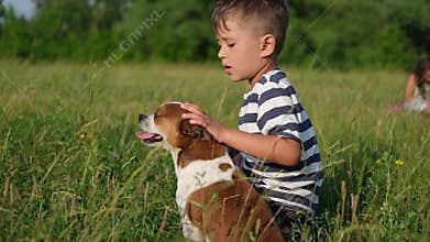 Cute little Caucasian boy pet their dog sit on grass