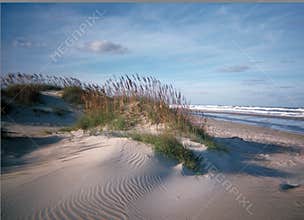 Sand Dunes