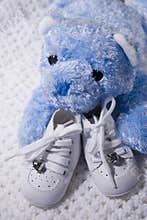 Baby Shoes and Teddy