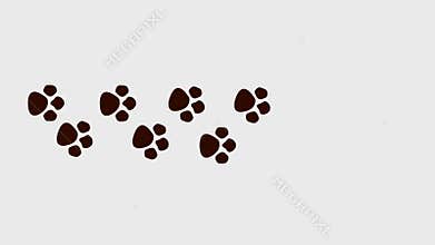 Paw print animation. Pet foot print.