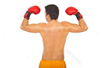 Back of powerful boxer man
