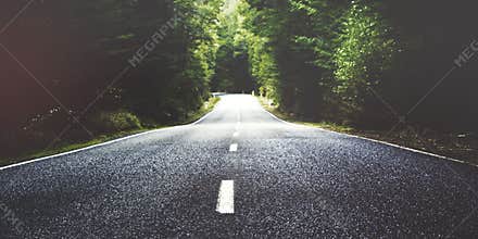 Summer country road