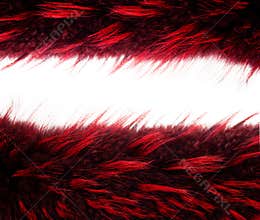 Fur frame