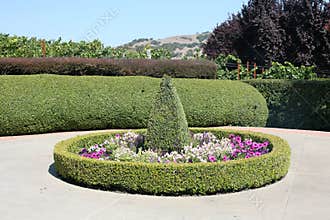 Garden in California