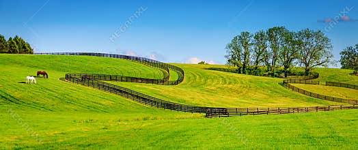 Horse farm fences