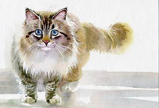 Watercolor Animal Collection: Cat