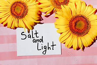 Salt and light - Christian biblical lettering on pink background with yellow sunflower flowers