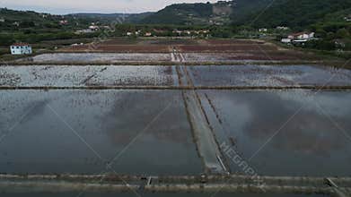 Historic Strunjan salt pans at sunset aerial where Piran salt is produced