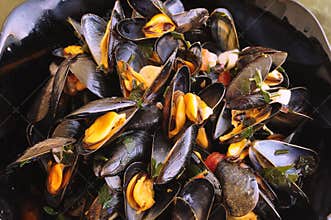 French mussels