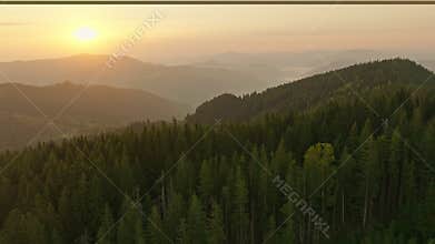 Forest nature mountains dawn sunrise landscape morning beautiful