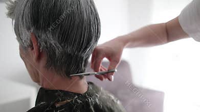 Hairdresser Cutting Gray Hair Of Elderly Woman