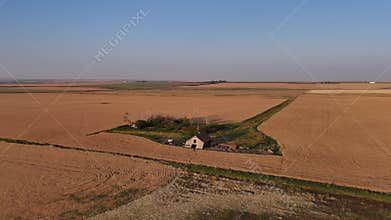 Abandoned homestead on the Canadian prairies during golden hour overlooking wheat fields aerial 4k shot.