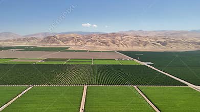 Aerial View of Farmland and Desert Hills in Bakersfield, California