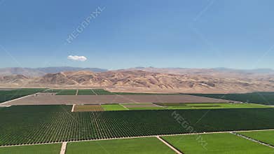 Aerial View of Farmland and Rolling Hills in Bakersfield, California