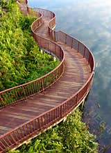 Lakeside nature walk way
