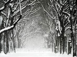 Central Park Blizzard 01