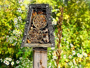 Simple handmade insect hotel surrounded by flowers
