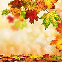 Autumn bokeh background bordered with leaves
