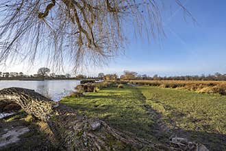 Rural life in Surrey