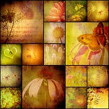Collage album nature, flowers and butterfly, vintage style