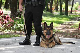 Police Dog 2