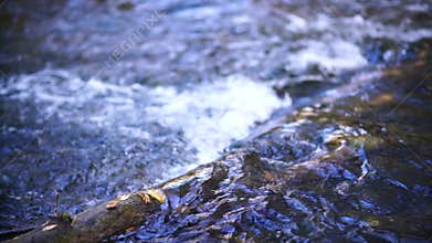 Flowing river overcomes log. Clear day, natural river flow over obstacle.