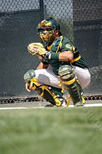 Baseball Catcher