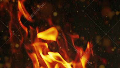 Burning fire flame on dark background