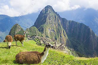 Machu Picchu, Peru